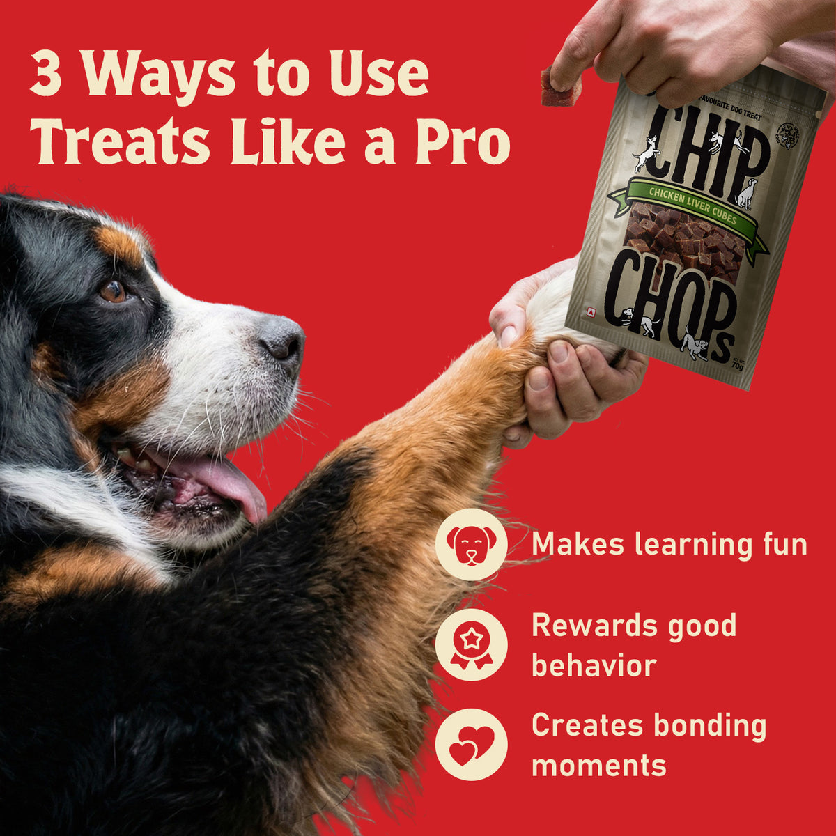 Chip Chops Chicken Liver Cubes Treats For Dog - 70 g