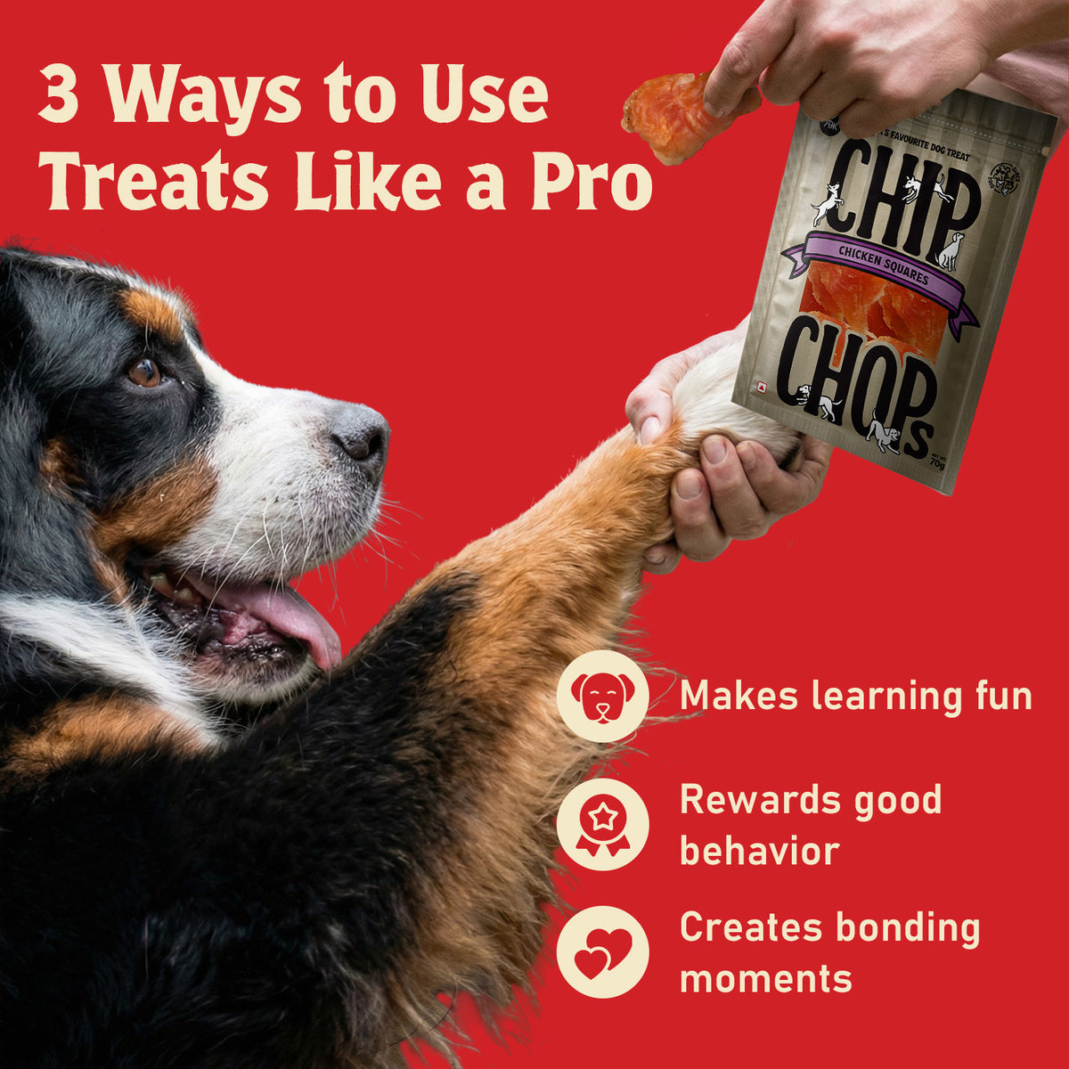 Chip Chops Chicken Square Treats For Dog - 70 g