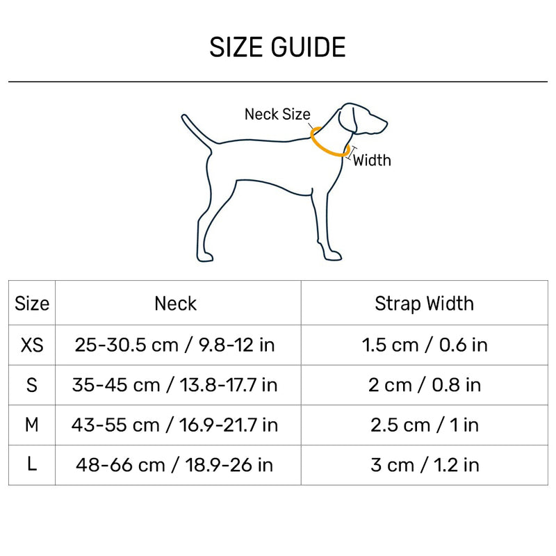 HUFT Spectrum Stripes Collar For Dog - Multicolor - Heads Up For Tails