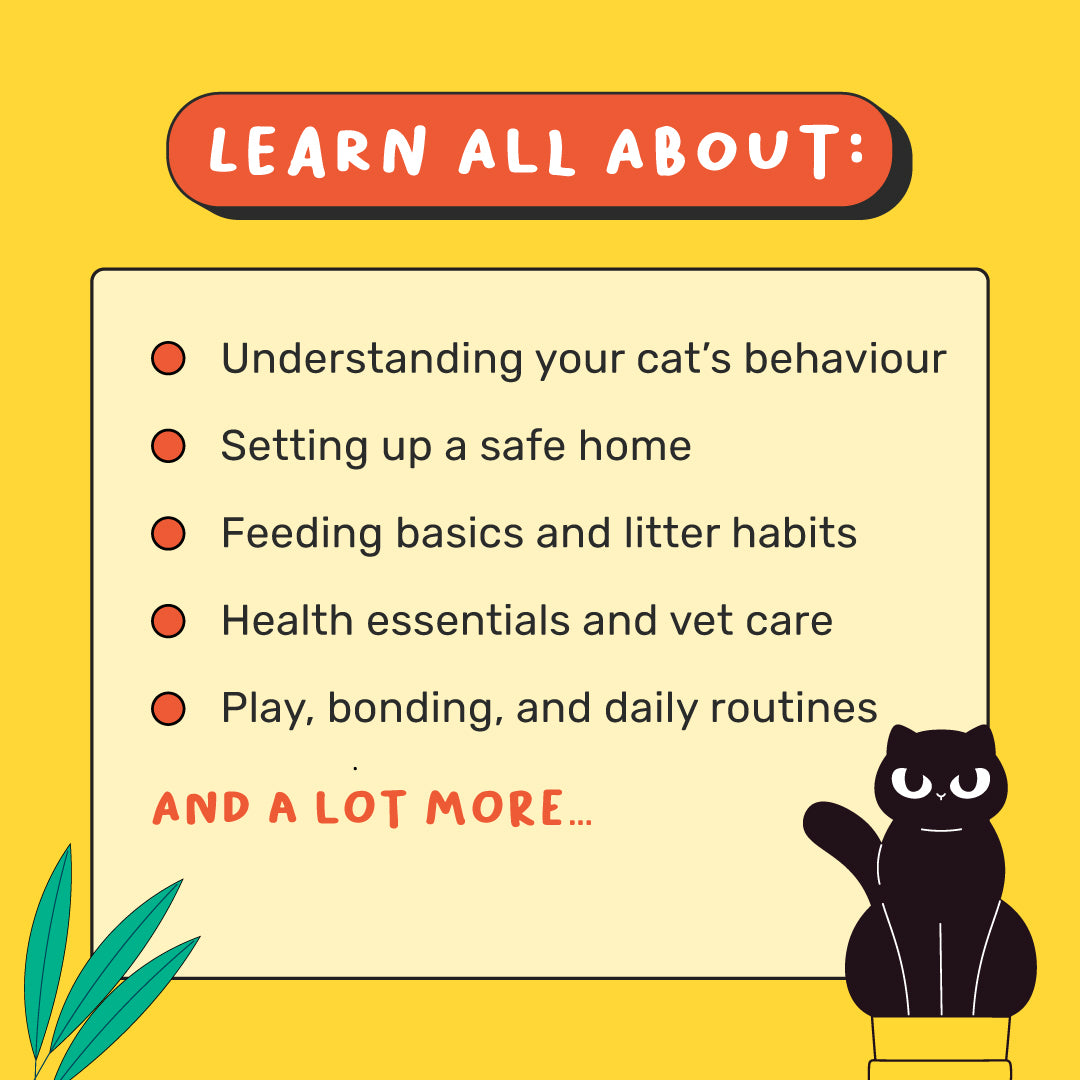 HUFT A Cat Parenting Handbook - Heads Up For Tails