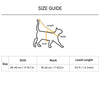 HUFT Essential Harness & Leash Set For Cat - Red - Heads Up For Tails