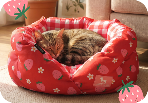 Cat Beds