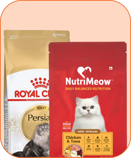 Cat Food