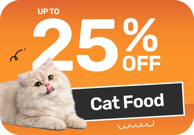 Shop Now →