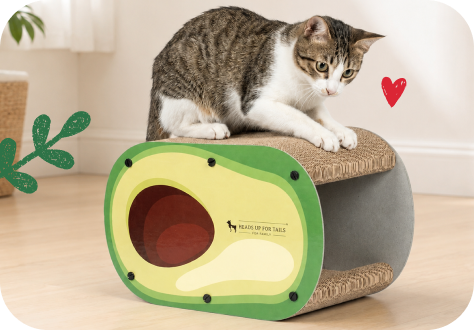 Cat Scratchers