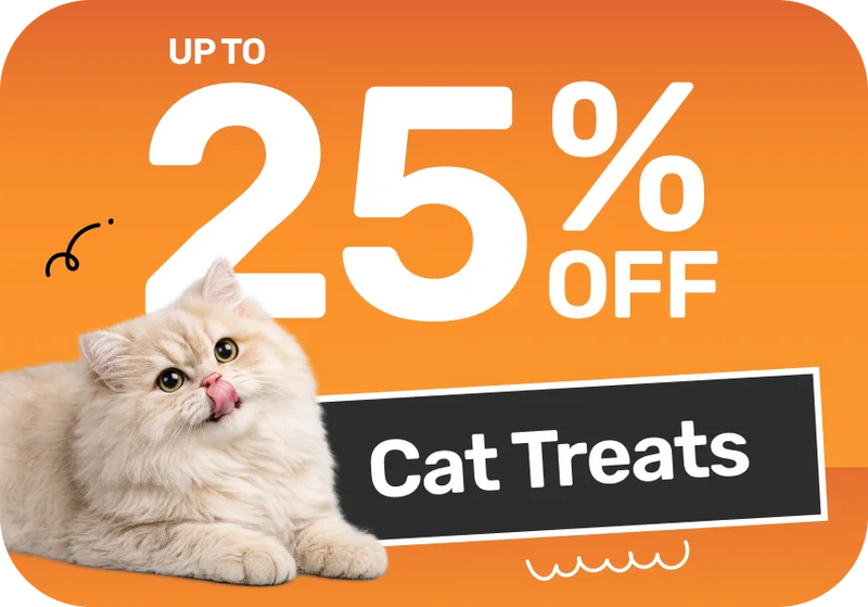 Shop Now →