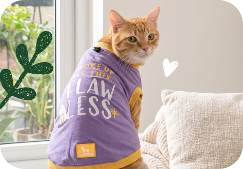 Cat T-Shirts