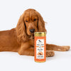 HUFT YIMT Chai Time Special Coconut Cabana Dog Biscuits, 200 gm, with a golden retriever beside the packaging