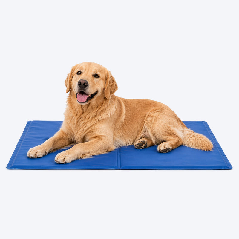 HUFT Cooling Mat For Dog & Cat - Blue - Heads Up For Tails