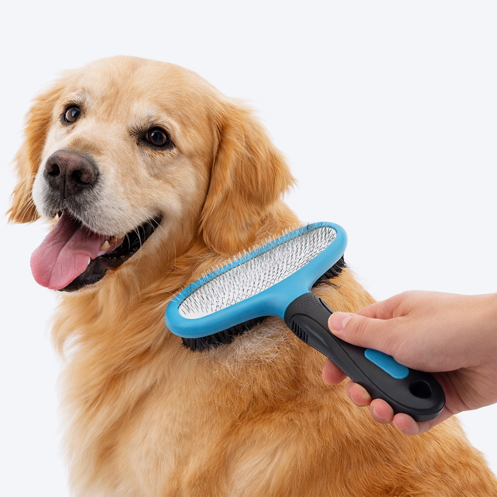 M-Pets Double-Sided Slicker Brush for Dogs and Cats -15x17 cm - Heads Up For Tails