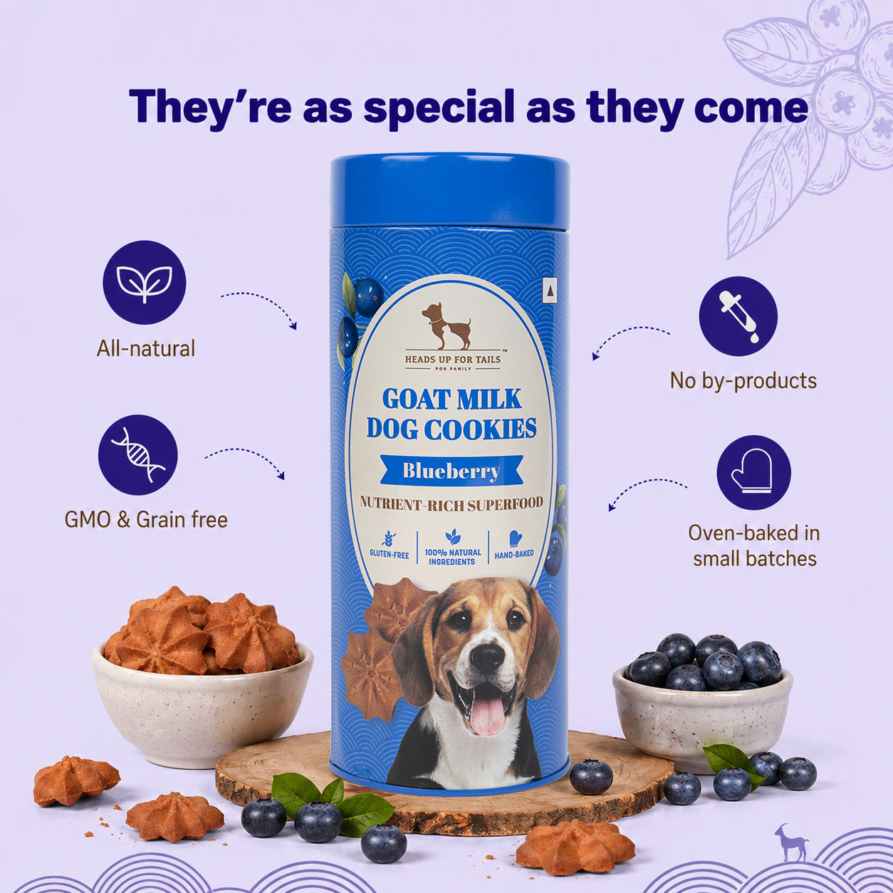 HUFT Ultimate Goat Milk Cookie Combo - 200 g Each
