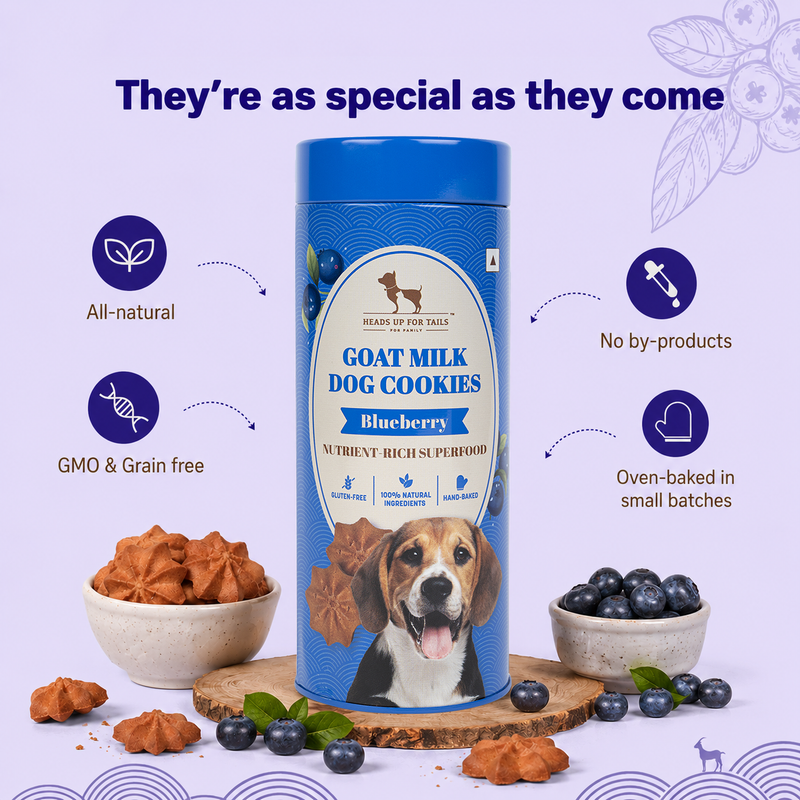 HUFT Ultimate Goat Milk Cookie Combo - 200 g Each