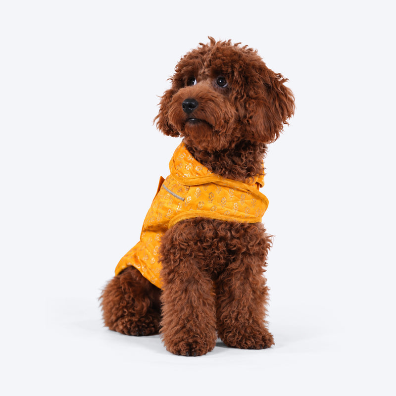 HUFT Regal Bloom Sherwani For Dog - Yellow
