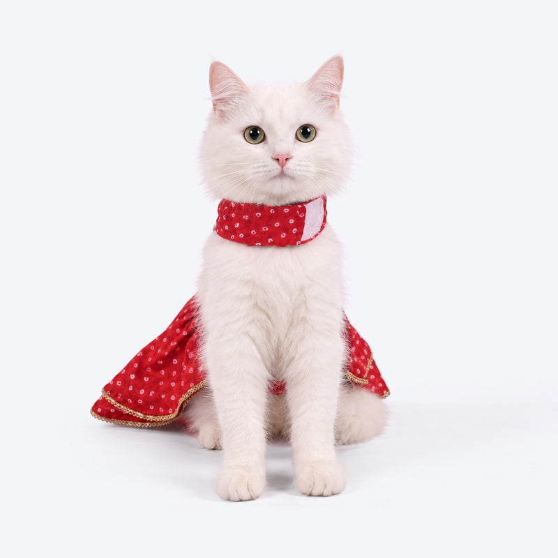 HUFT Bandhani Pop Dress For Cat - Red