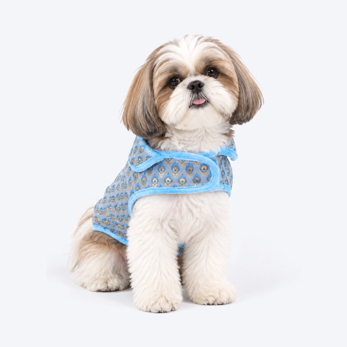 HUFT Regal Bloom Sherwani For Dog - Blue