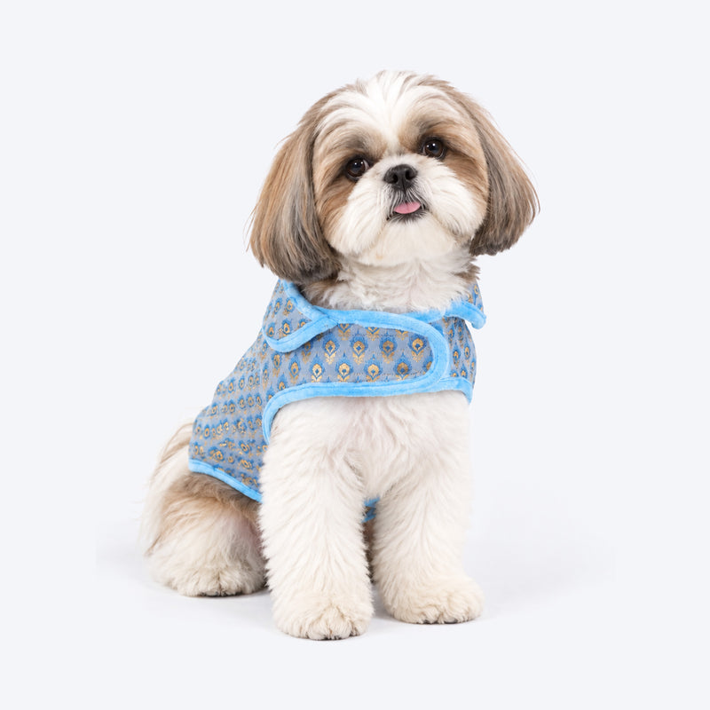 HUFT Regal Bloom Sherwani For Dog - Blue