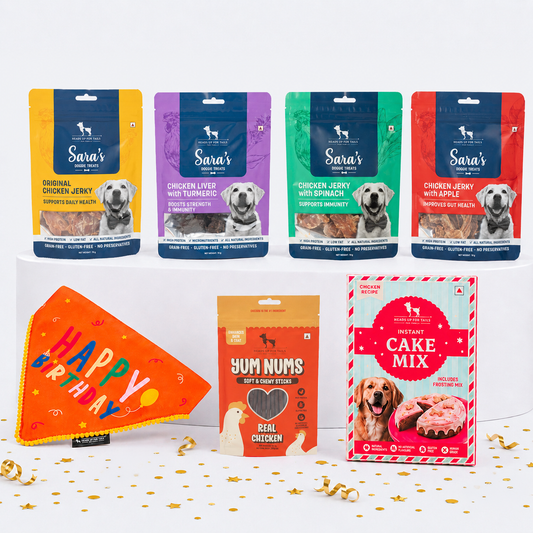The Birthday Star Combo For Dogs
