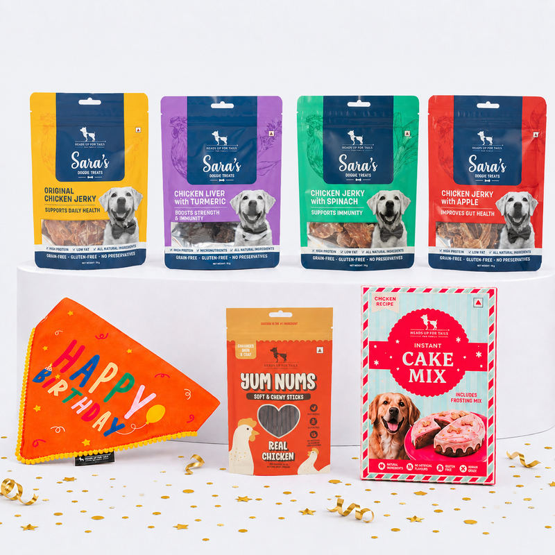 The Birthday Star Combo For Dogs