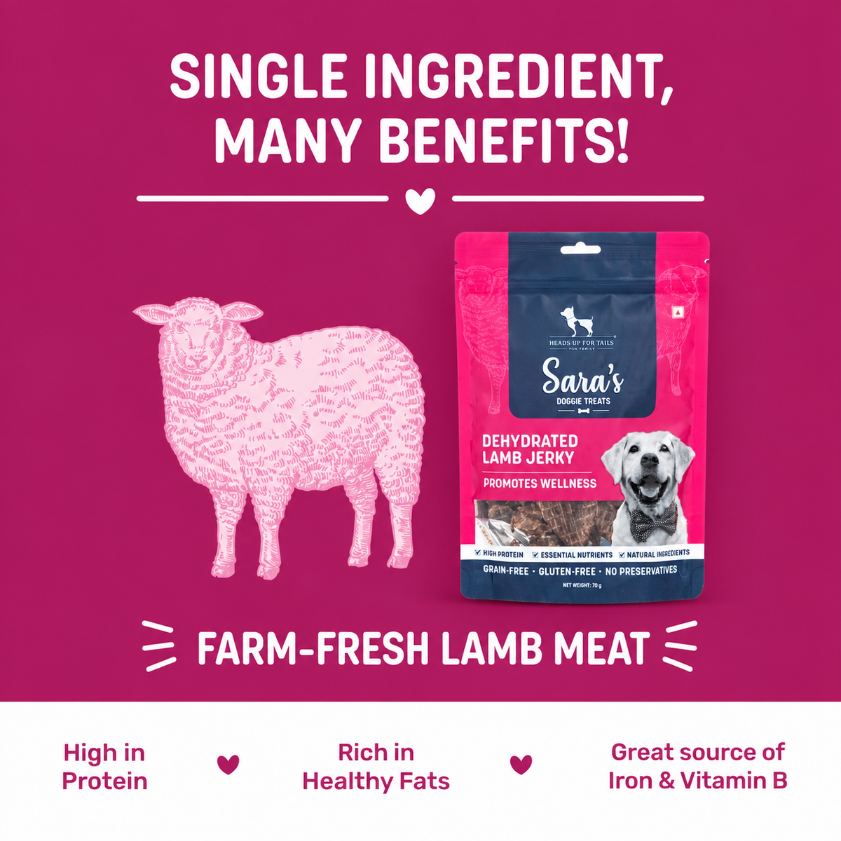 Sara's Gentle On Sensitive Tummies (Lamb Trial)
