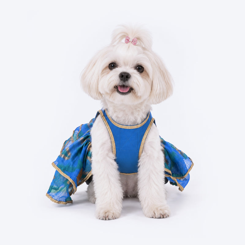 HUFT Royal Sapphire Dress For Dog - Blue