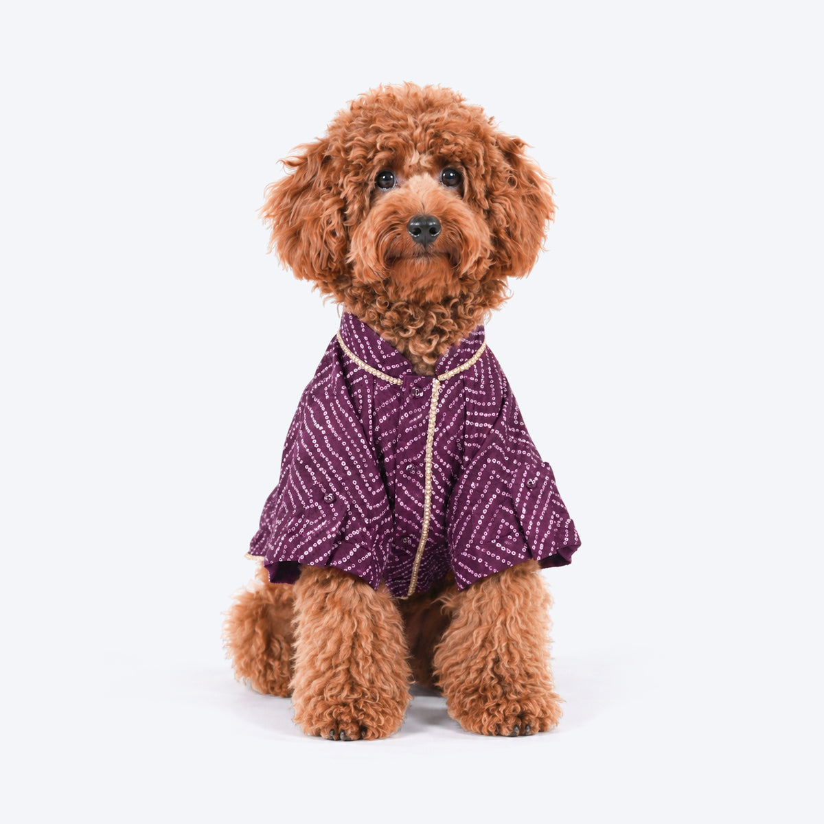 HUFT Royal Bandhani Kurta For Dog - Purple