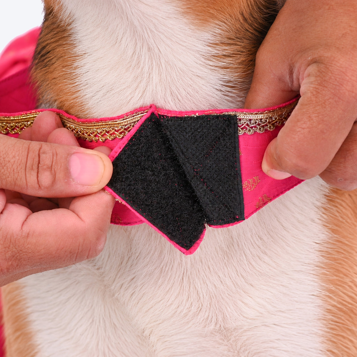 HUFT Desi Dazzle Dress For Dog - Pink