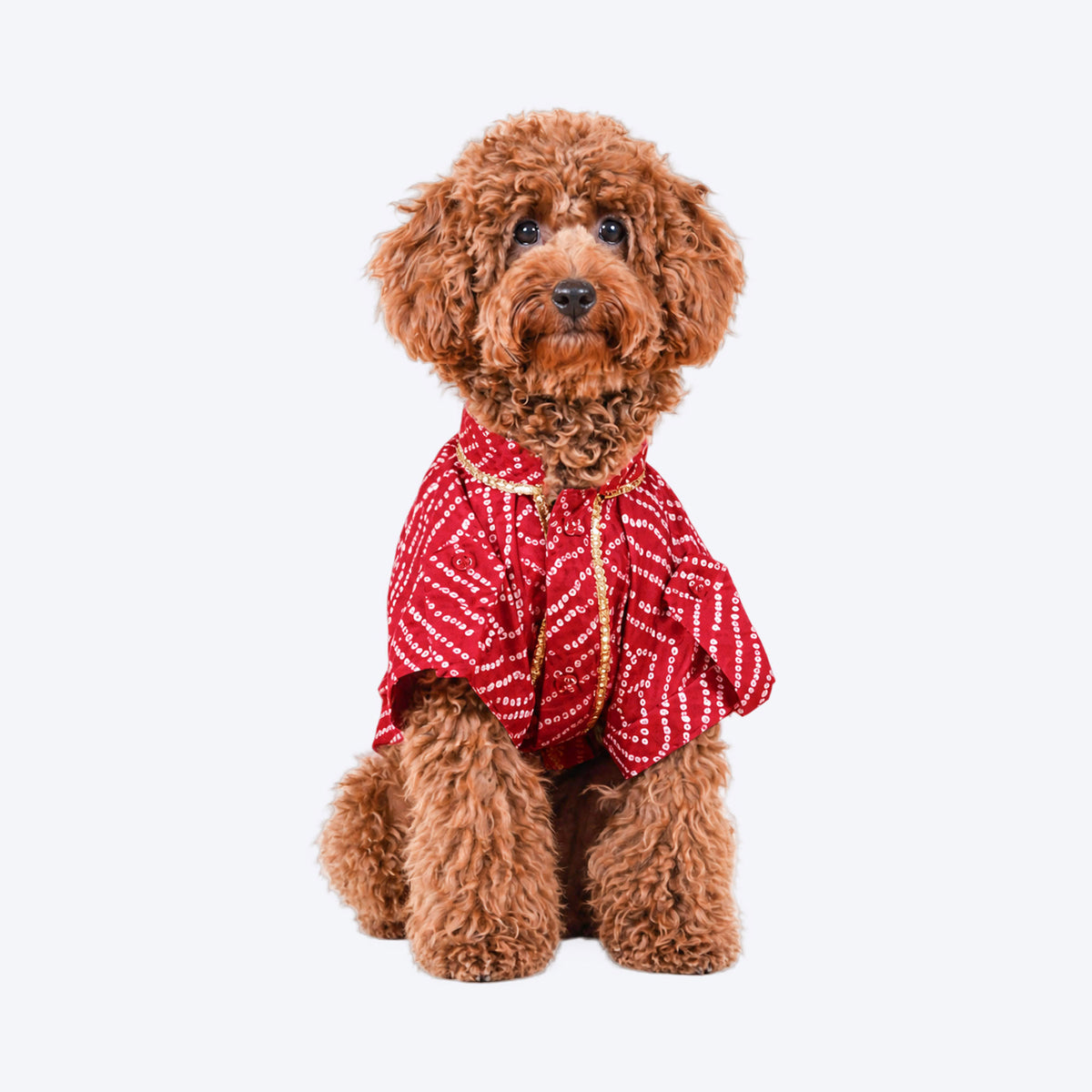 HUFT Royal Bandhani Kurta For Dog - Red