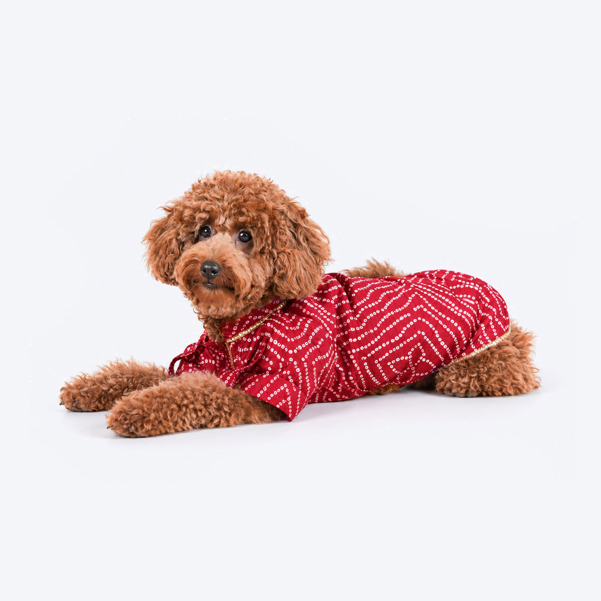 HUFT Royal Bandhani Kurta For Dog - Red
