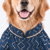 HUFT Royal Shimmer Kurta For Dog - Teal