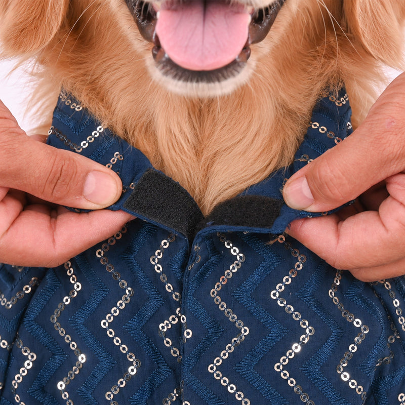 HUFT Royal Shimmer Kurta For Dog - Teal