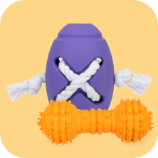 Chew Toys
