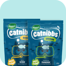 Chew Treats