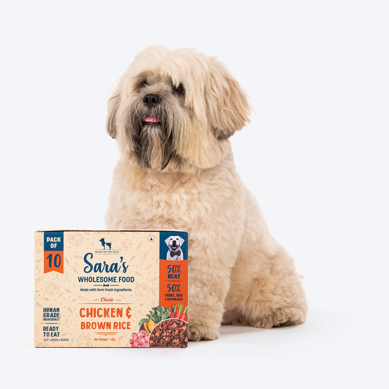 Sara's Wholesome Classic Chicken and Brown Rice Dog Food, pack of 10 x 100g, made with human-grade ingredients.