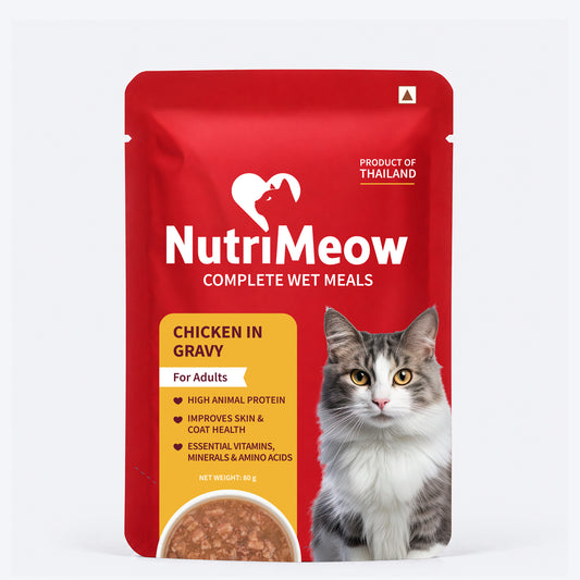 NutriMeow Chicken In Gravy Wet Food For Adult Cat - 80 gm