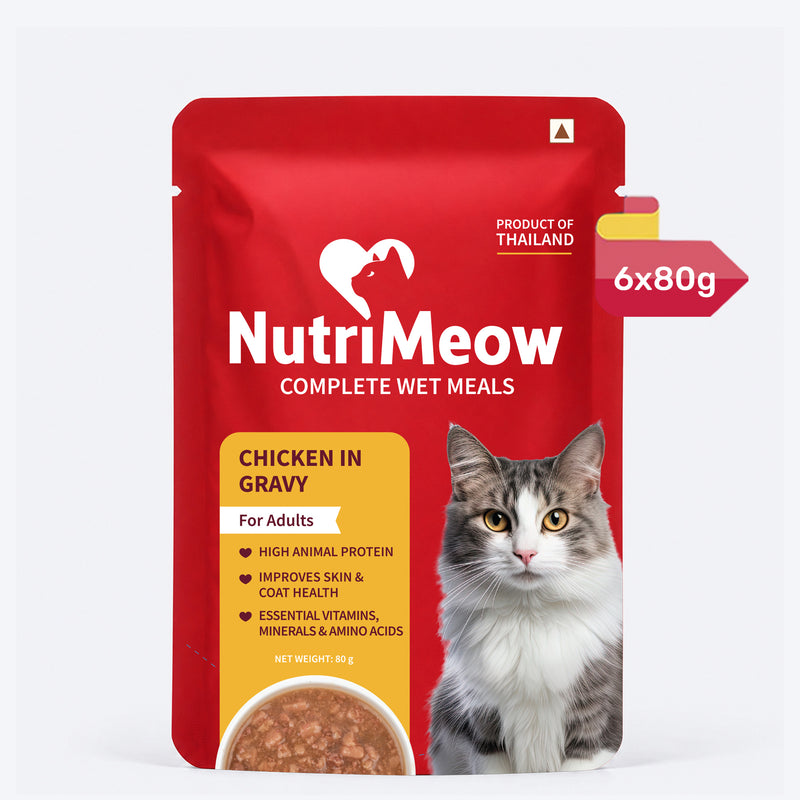 NutriMeow Chicken In Gravy Wet Food For Adult Cat - 80 gm
