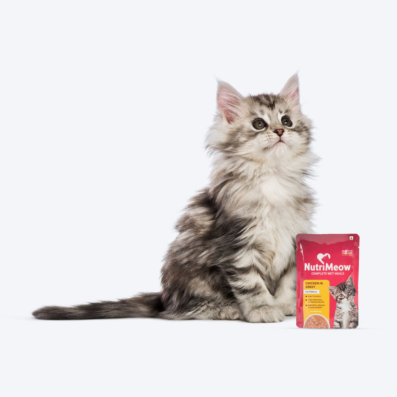 NutriMeow Chicken in Gravy Wet Food For Kitten - 80 gm - Heads Up For Tails