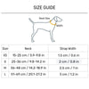 HUFT Dino Land Collar For Dog - Blue