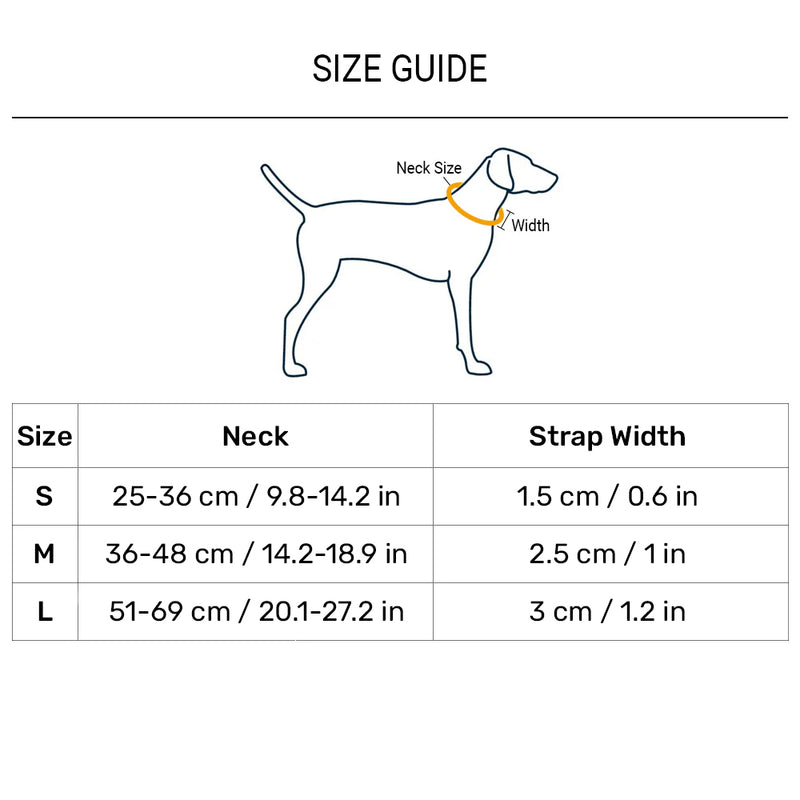 Dash Dog Dotty Padded Collar For Dog - Purple - Heads Up For Tails