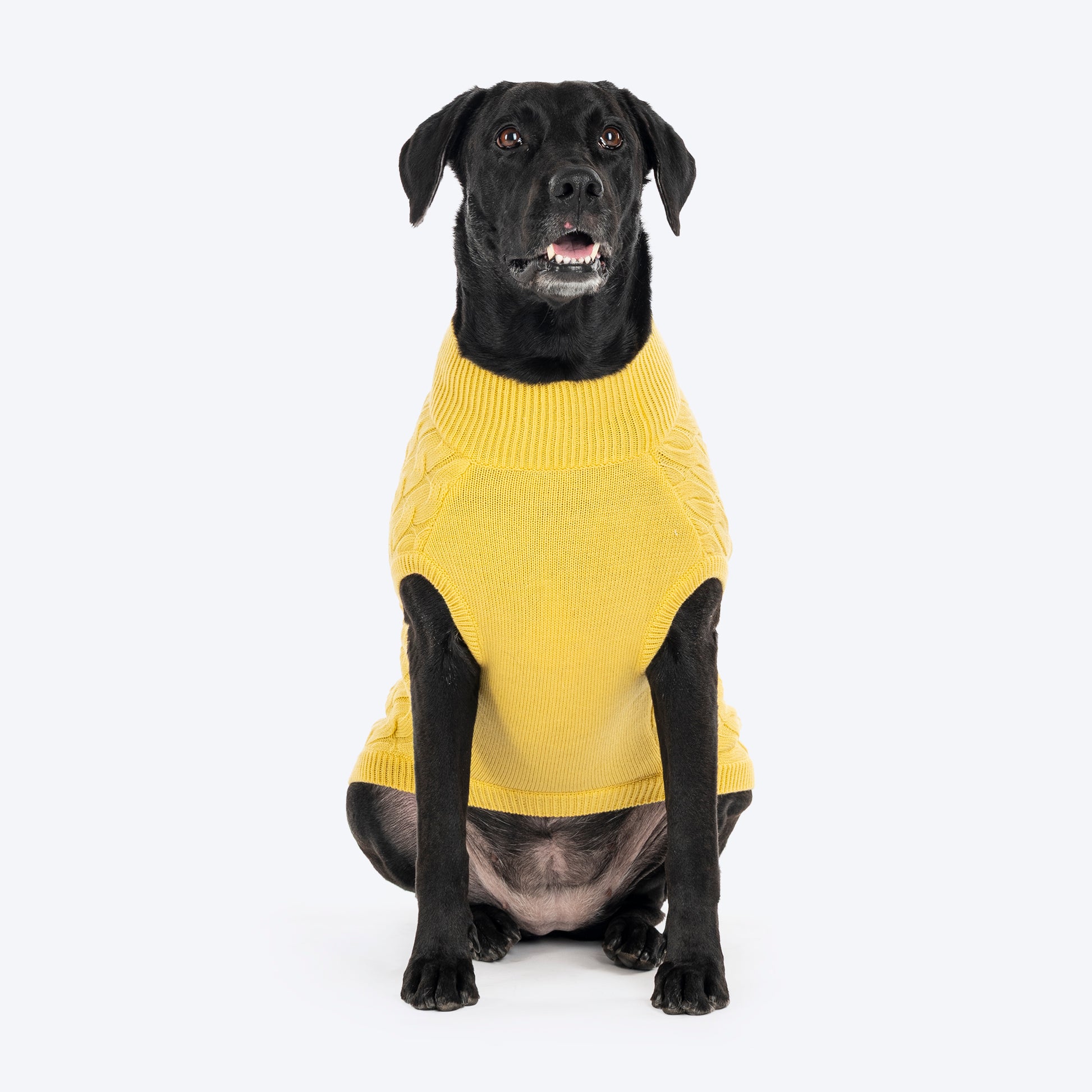 TLC Sunny Days Sweater For Dog - Yellow - Heads Up For Tails