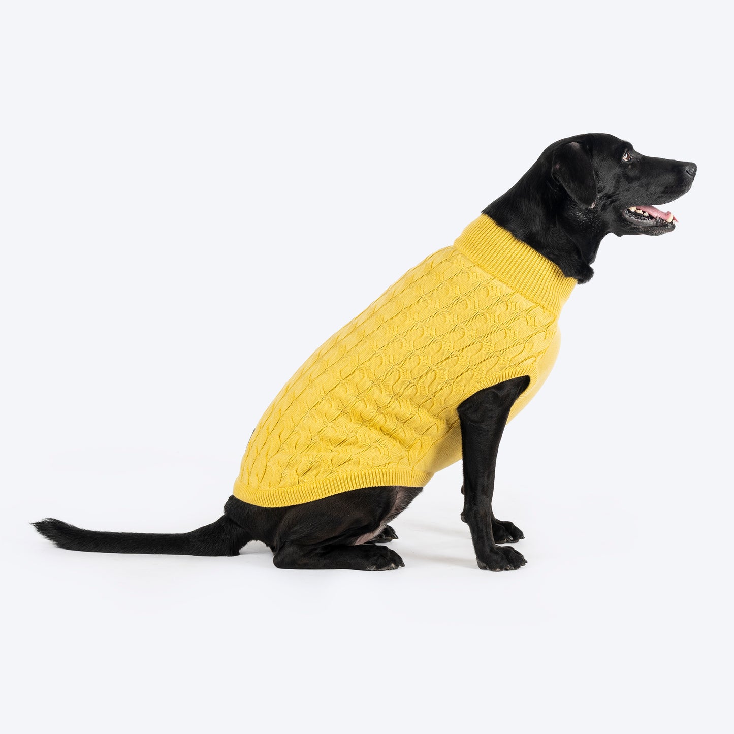 TLC Sunny Days Sweater For Dog - Yellow - Heads Up For Tails