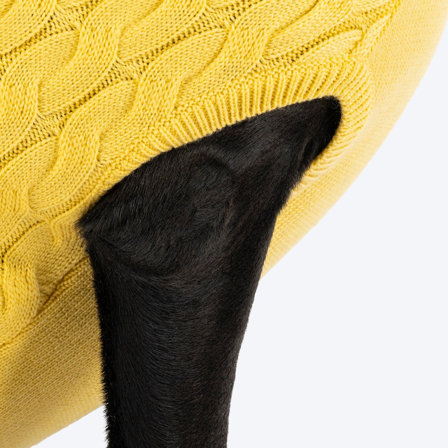 TLC Sunny Days Sweater For Dog - Yellow - Heads Up For Tails