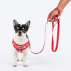 HUFT Free Flow Step In Harness & Leash Set For Dog - Berry Bliss Red - Heads Up For Tails