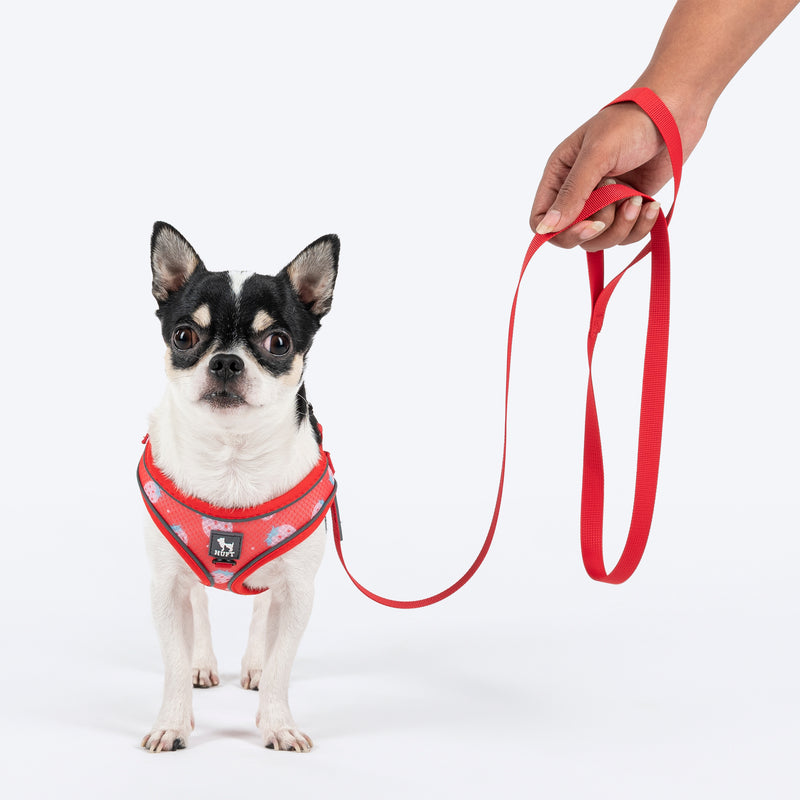 HUFT Free Flow Step In Harness & Leash Set For Dog - Berry Bliss Red - Heads Up For Tails