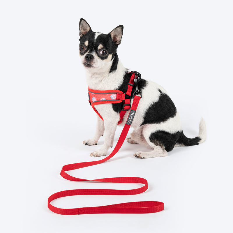 HUFT Free Flow Step In Harness & Leash Set For Dog - Berry Bliss Red - Heads Up For Tails