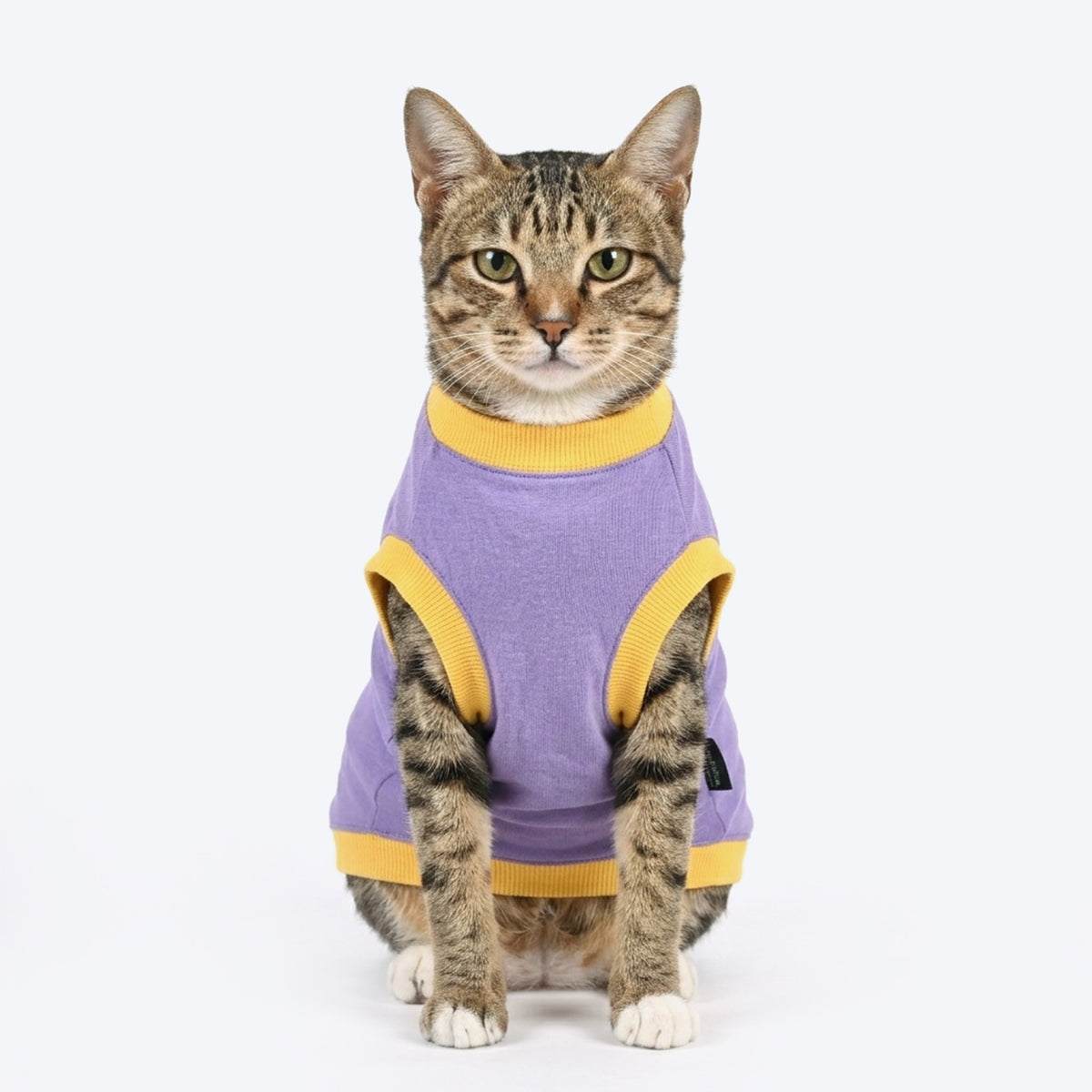 HUFT Flawless T-Shirt For Cat - Lilac
