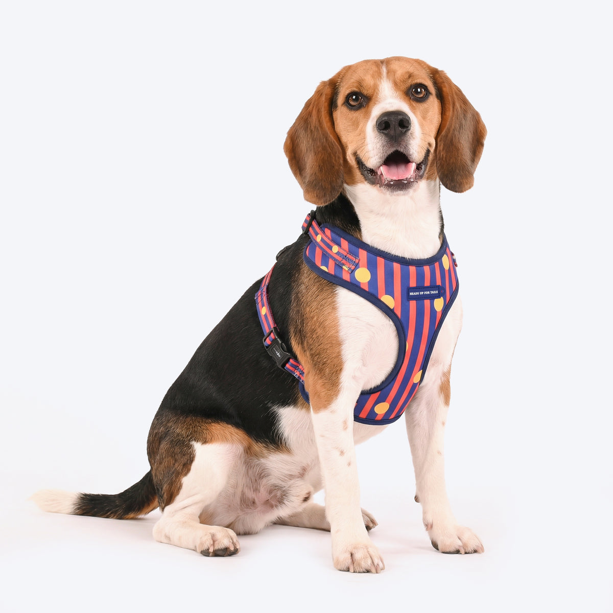 HUFT Playstripes Adjustable Harness For Dog - Rust &amp; Navy