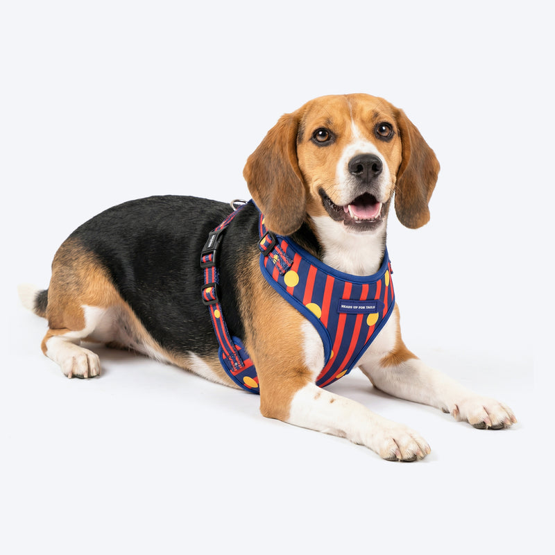 HUFT Playstripes Adjustable Harness For Dog - Rust & Navy