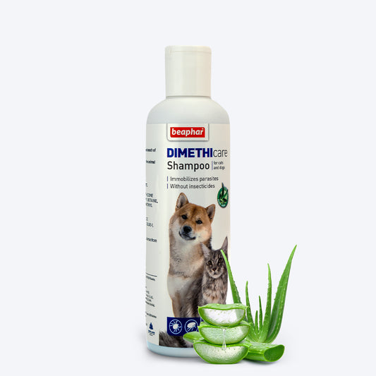 Beaphar Dimethicare Tick & Flea Shampoo For Dog & Cat - Aloe Vera - 200 ml