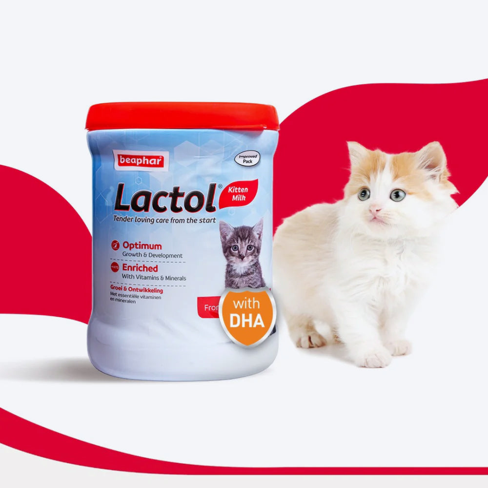 Beaphar Lactol Milk Replacement Powder Dry Food For New Born Kitten