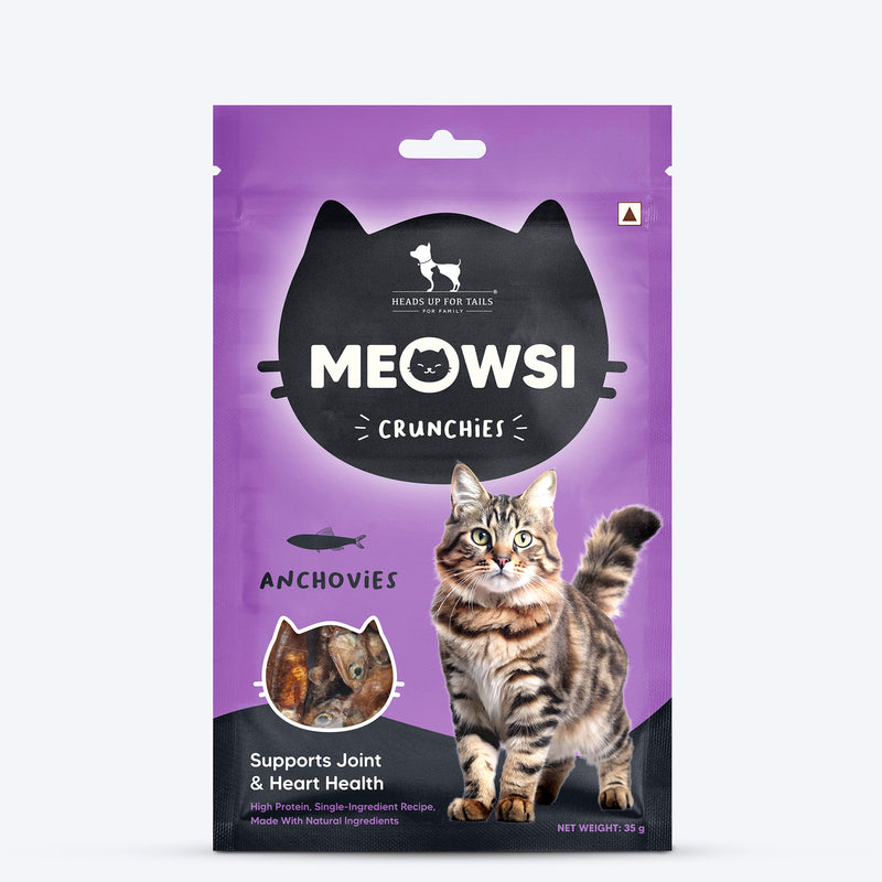 The Treat Paglu Cat Combo